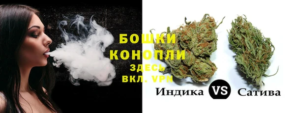 ГАЛЛЮЦИНОГЕННЫЕ ГРИБЫ Горно-Алтайск