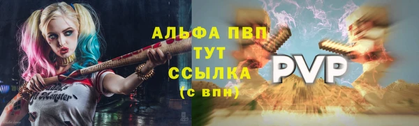 хмурый Горняк