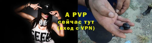 стаф Гусев