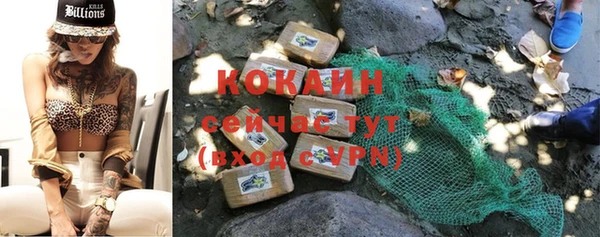 хмурый Горняк