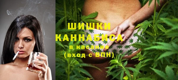 ГАЛЛЮЦИНОГЕННЫЕ ГРИБЫ Горно-Алтайск