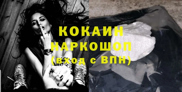 ГАЛЛЮЦИНОГЕННЫЕ ГРИБЫ Горно-Алтайск