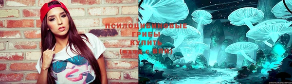 хмурый Горняк