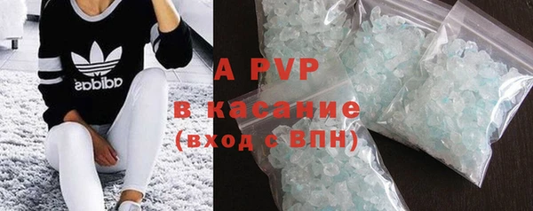ГАЛЛЮЦИНОГЕННЫЕ ГРИБЫ Горно-Алтайск