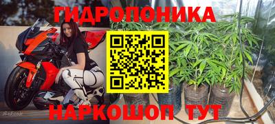 дживик Краснодар