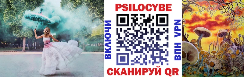даркнет сайт  Железноводск  Псилоцибиновые грибы Magic Shrooms 