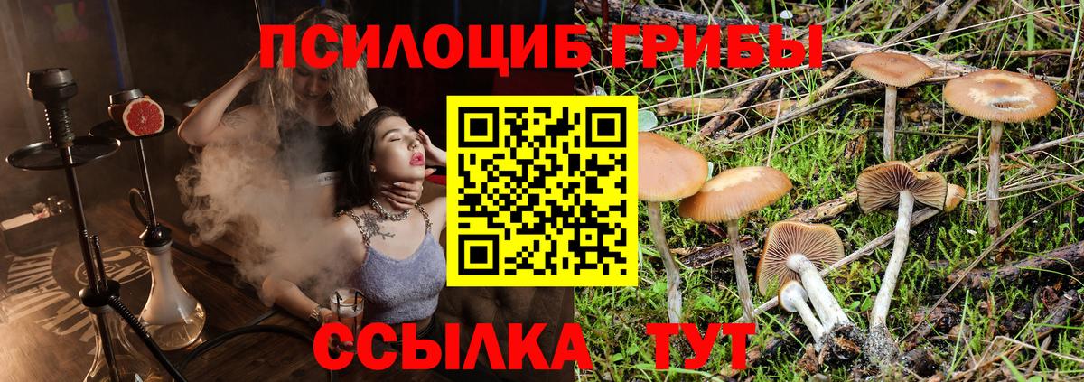 Галлюциногенные грибы GOLDEN TEACHER  Вход с VPN  Железноводск 