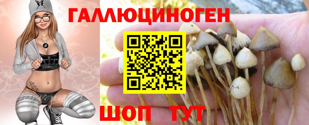 Галлюциногенные грибы Cubensis Железноводск